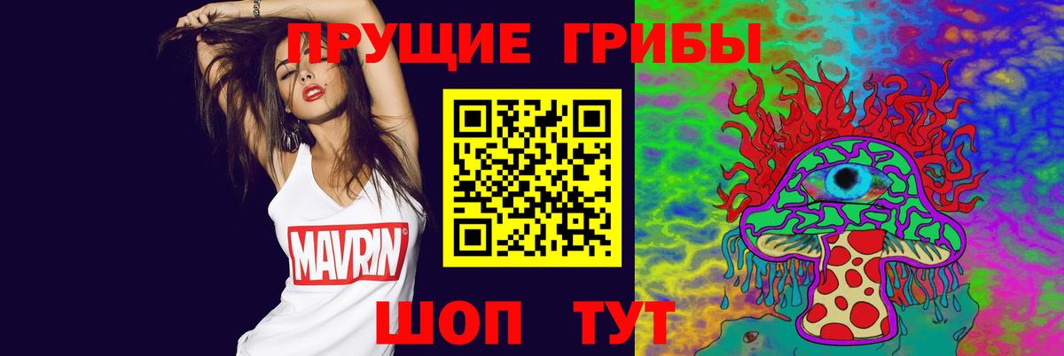 Псилоцибиновые грибы Psilocybe Сердобск
