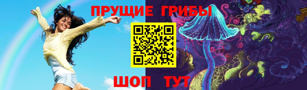 Псилоцибиновые грибы GOLDEN TEACHER  Вход с VPN  Сердобск 